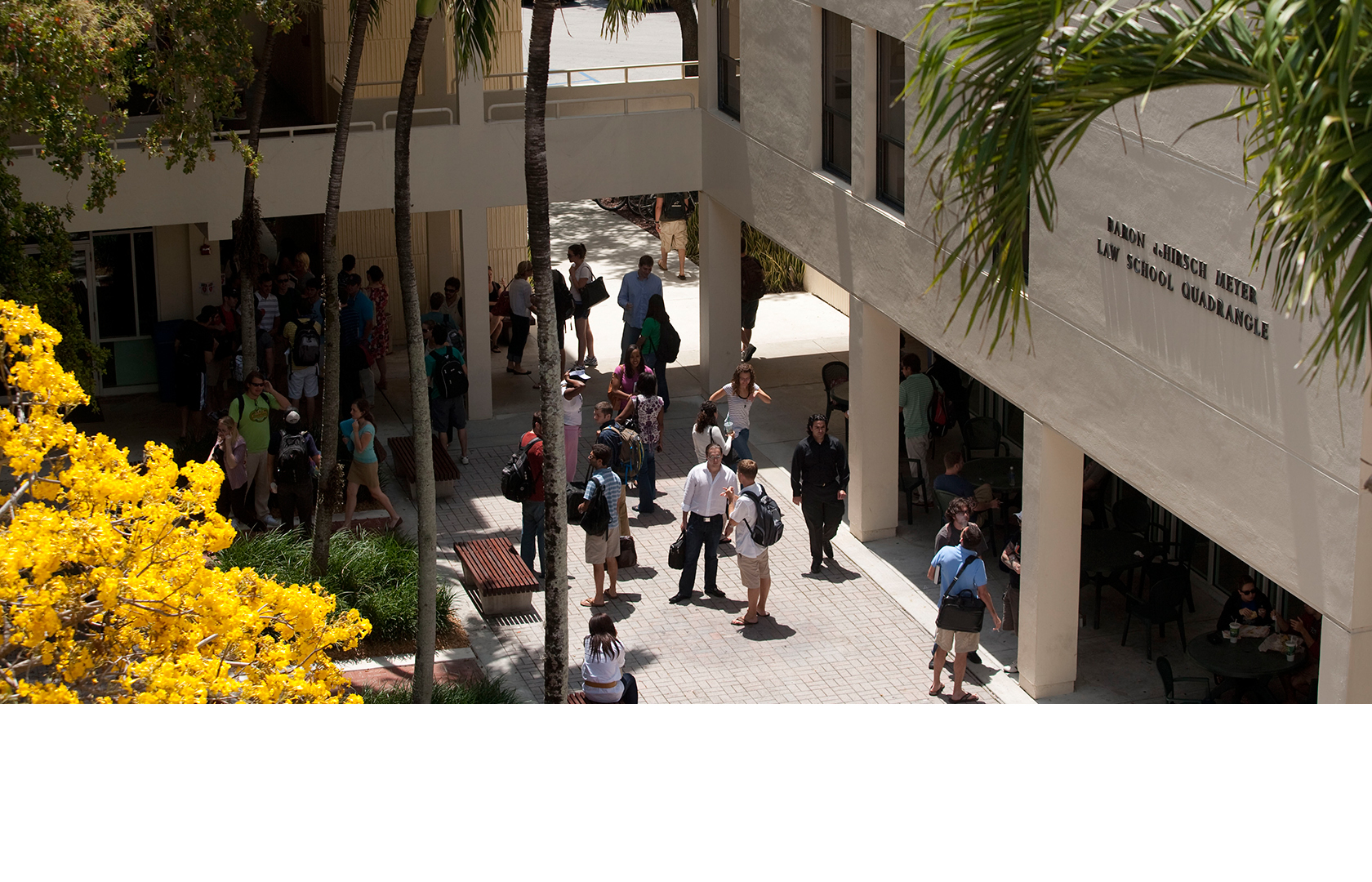 Visiting the Law School University of Miami School of Law