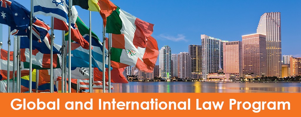 miami skyline with international flags